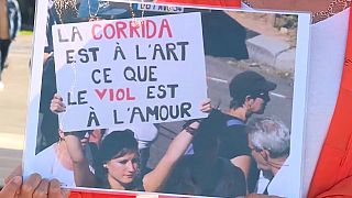 Eine hitzige Debatte um ein Stierkampfverbot wird dieser Tage in Frankreich geführt