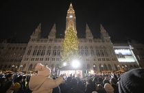 Рождественская ёлка на Ратушной площади Вены.
