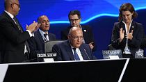 Sameh Shoukry, president of the COP27 climate summit, receives a standing ovation