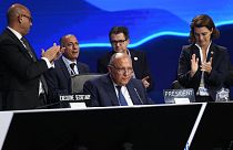 Sameh Shoukry, president of the COP27 climate summit, receives a standing ovation