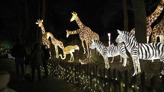 Diese erleuchteten Figuren läuten im Bronx Zoo die Weihnachtssaison ein