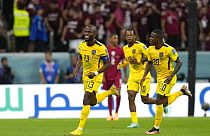 Les joueurs de l'Équateur célèbrent un but, contre le Qatar, mat