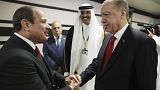 الرئيسان التركي رجب طيب إردوغان والمصري عبد الفتاح السيسي في قطر 