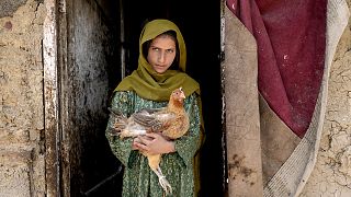 A girl holds a chicken in Kabul in April 2022
