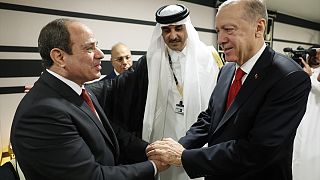 Cumhurbaşkanı Erdoğan FIFA 2022 Dünya Kupası açılışında düzenlenen resepsiyonda Mısır Devlet Başkanı Sisi ile görüştü
