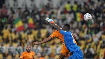 Senegal loses first match 0-2 to Netherlands in Group A
