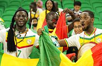 Fans der Mannschaft von Senegal in Katar