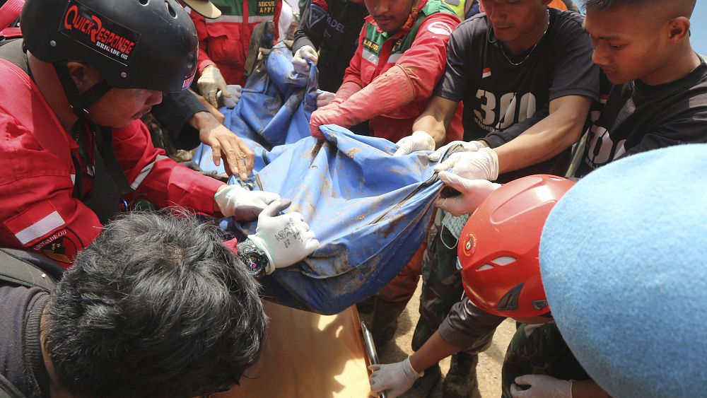 Rescue efforts ongoing after deadly earthquake devastates Indonesian island