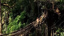 Locals use the bridges to travel safely between villages.