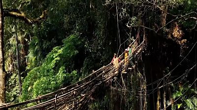 Locals use the bridges to travel safely between villages.