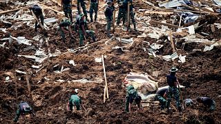 Des sauveteurs recherchent des victimes d'un glissement de terrain déclenché par un tremblement de terre à Cianjur, dans l'ouest de Java, en Indonésie.