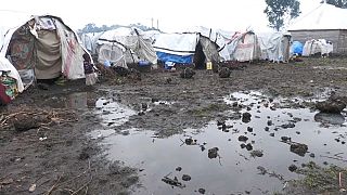 RDC : l'appel à l'aide des déplacés au gouvernement