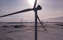 Kazakistan yeşil enerjiye geçişte rüzgar ve güneş enerjisi potansiyeline güveniyor