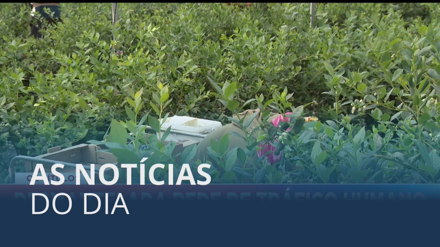 As notícias do dia | 23 Novembro 2022 - Noite