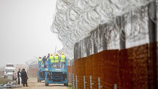 Fogvatartottak dolgoznak Röszke közelében a határvédő kerítés megerősítésén