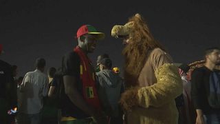 Fans play around with costumes in supporting World Cup teams