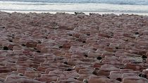 Bondi Beach