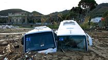 Damaged tourist busess are seen on the port of Casamicciola on November 27, 2022