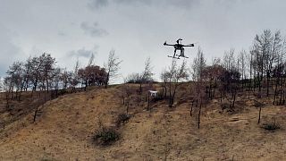 Σπορά με τη χρήση drone στα Γεράνεια όρη