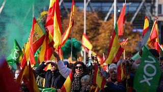 Supporters of far-right party Vox wave Spain's national flags
