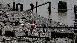 People mudlark on the banks of the River Thames looking for historic artefacts, coins, clay pipes or Roman pottery, in London