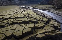 Dünya Meteoroloji Örgütü'nün raporuna göre gezegenin büyük bölümünde normal şartların ötesinde kuraklık kaydedildi.