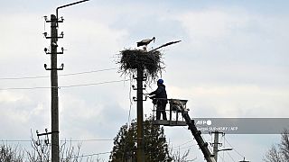 Emergency repair teams have been working overtime to try and repair Ukraine's battered grid