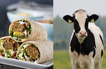 The University of Stirling student union will transition to '100 per cent plant-based catering' within three years.