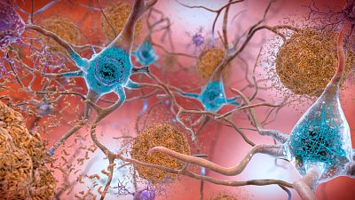 Модель нейронов и нейронных связей