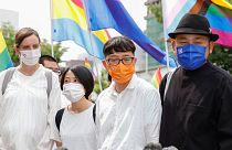 ازدواج همجنسگرایان در ژاپن و مطابقت آن با قانون‌اساسی