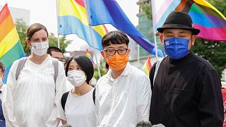 ازدواج همجنسگرایان در ژاپن و مطابقت آن با قانون‌اساسی