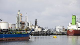 First shipment of Russian fertilizer leaves Netherlands for Africa - UN