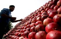 Pomegranate festival continues in Tehran.