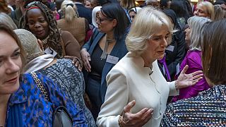  رئيسة منظمة خيرية نغوزي فولاني، يسار وسط، تحضر حفل استقبال أقامته ملكة بريطانيا كاميلا، للتوعية بالعنف المنزلي، قصر باكنغهام، لندن، 29 نوفمبر 2022. 