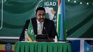 Seven east African nations sign IGAD agreement on free movement of people