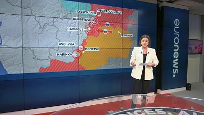 Александра Вакулина, Euronews