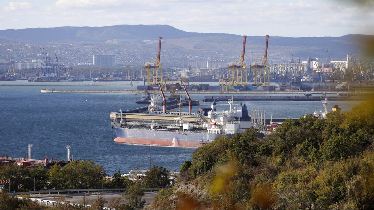 Rusya'nın Novorossiysk kentinde limanda demirleyen bir petrol tankeri 