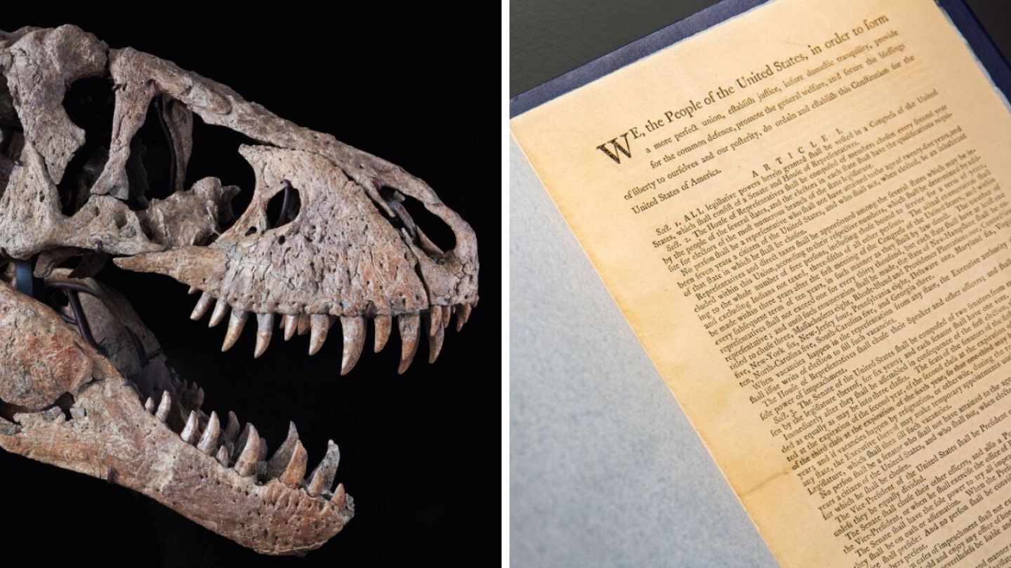 Dinosaur skulls & the US Constitution: Rare luxury items go on sale at  Sotheby's | Euronews