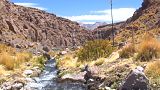 Il fiume Silala che attraversa Cile e Bolivia