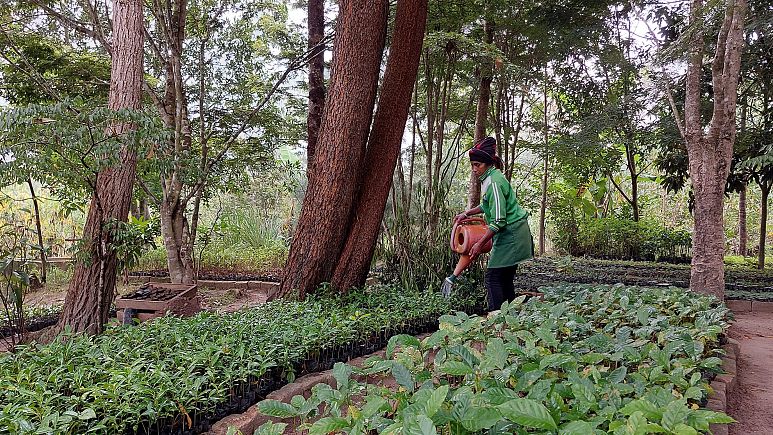 OCP’s commitment to restoring biodiversity in Africa