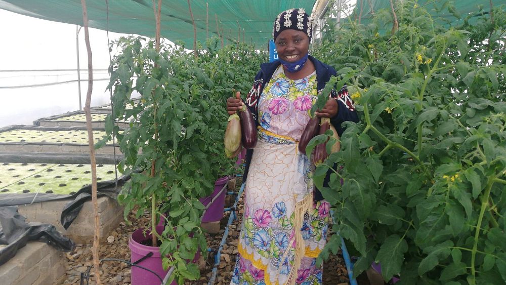 Inside the refugee camp using solar power and ‘hydroponics’ to grow thousands of fruit and veg