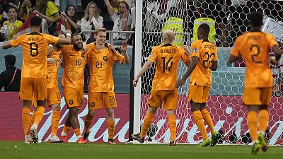 Frankie de Jong of the Netherlands, celebrates after scoring his side's second goal during the World Cup group match against Qatar, 29 November 2022