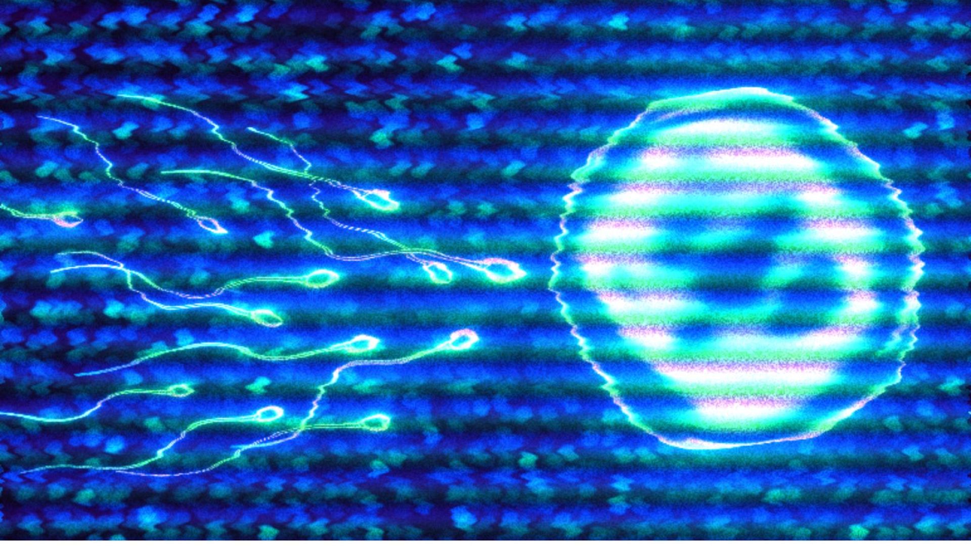 ‘Spermageddon’: What you need to know about falling sperm counts and ...