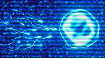 Alarming research shows sperm counts have more than halved worldwide in the past five decades, and that the trend is accelerating. How worried should we be? 