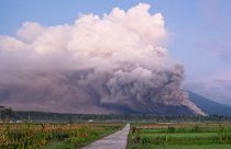 Mount Semeru releases volcanic materials during an eruption.