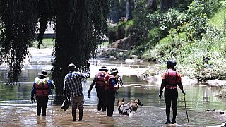 Afrique du Sud : au moins 9 morts après une crue de la rivière Jukskei