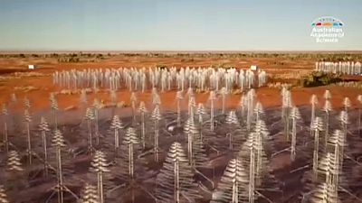 Im australischen Outback ensteht ein riesiges Antennennetz als Teil des künftig weltgrößten Radioteleskops