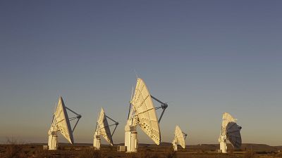 Антенны в ЮАР — такие же будут стоять в Австралии