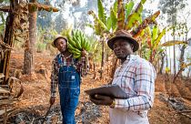 Agricultura inteligente que usa dispositivos digitales para supervisar cultivos en Sudáfrica