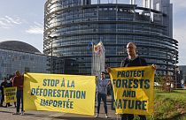 Διαδήλωση κατά της αποψίλωσης των δασών έξω από το Ευρωπαϊκό Κοινοβούλιο στο Στρασβούργο